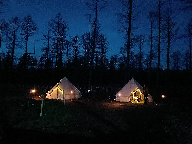 Hoe uniek: slapen in een tipi-tent op de Veluwe, met de husky's als jullie waakhonden!