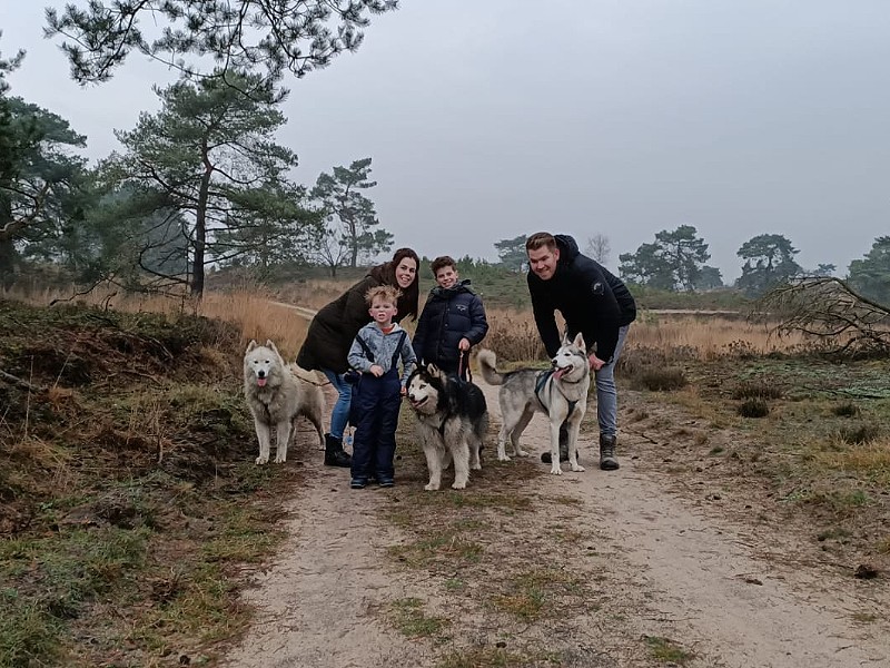 Een gezonde hike met de husky's....lekker in de buitenlucht!