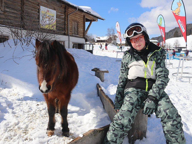 Pony Jimmy van Familiehotel Filzmooserhof logeert 's winters bij de boer!