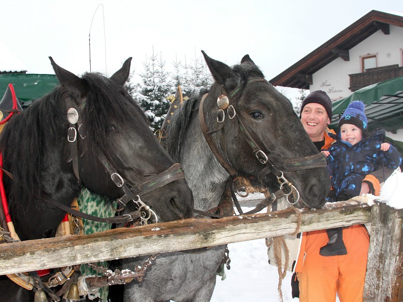 Met de arrenslee in Niederau